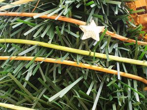 v�no�n� strome�ek na v�noce